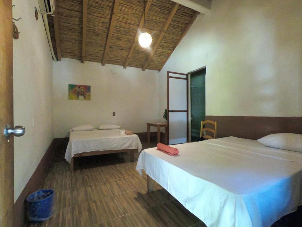 ホテル Casa H Rinconcito マスンテ エクステリア 写真